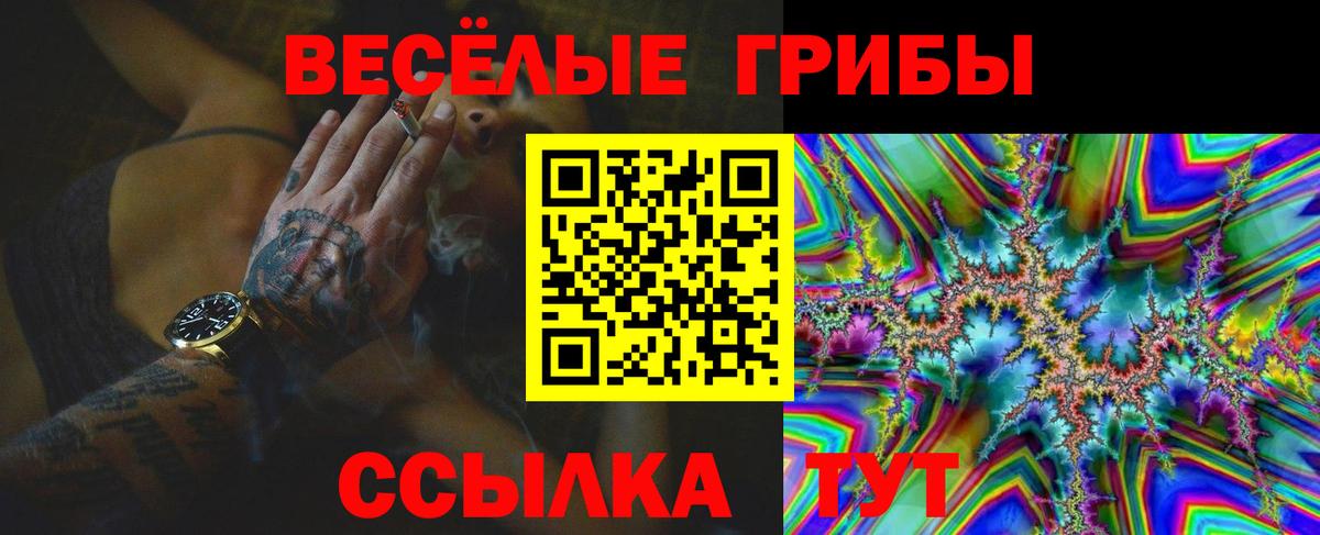 Псилоцибиновые грибы Psilocybine cubensis Мурино