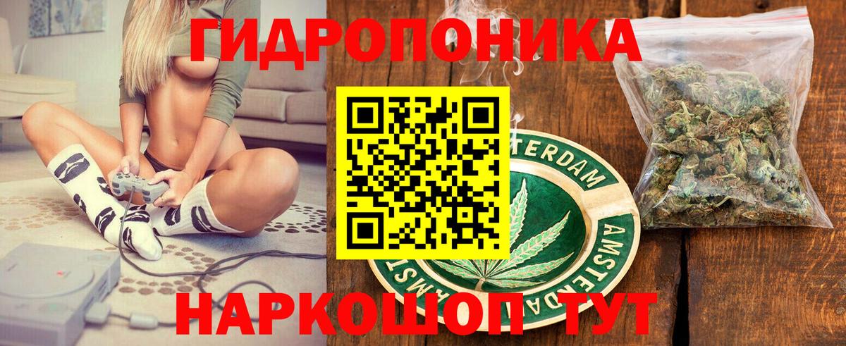 Конопля Bruce Banner Мурино